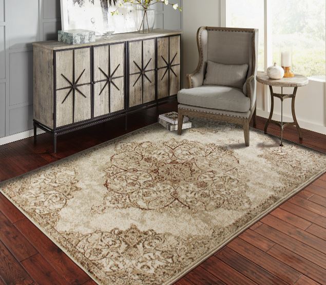 4x6 rug for the living room