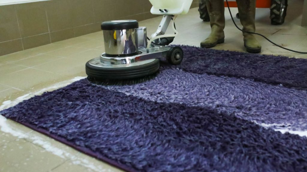 Water Damaged Carpet Cleaning Guide