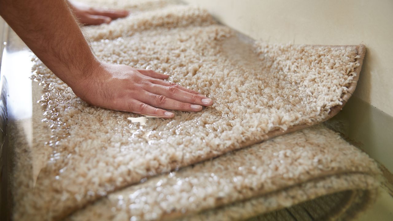 Guide On Water Damaged Carpet Cleaning