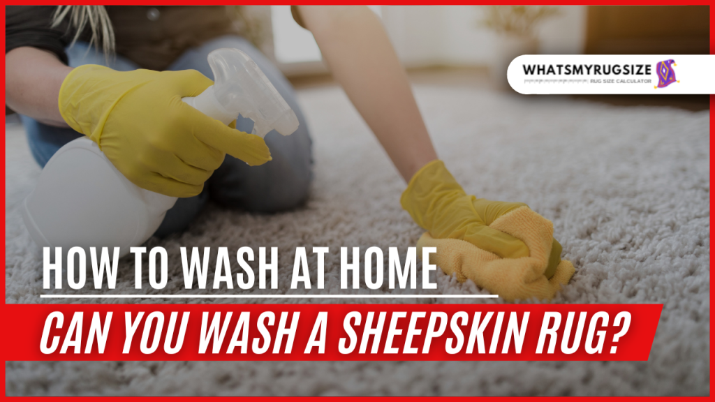 Can You Wash a Sheepskin Rug - How to Wash at Home