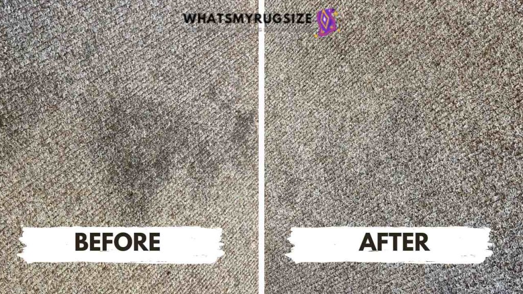Can You Dry Clean a Rug