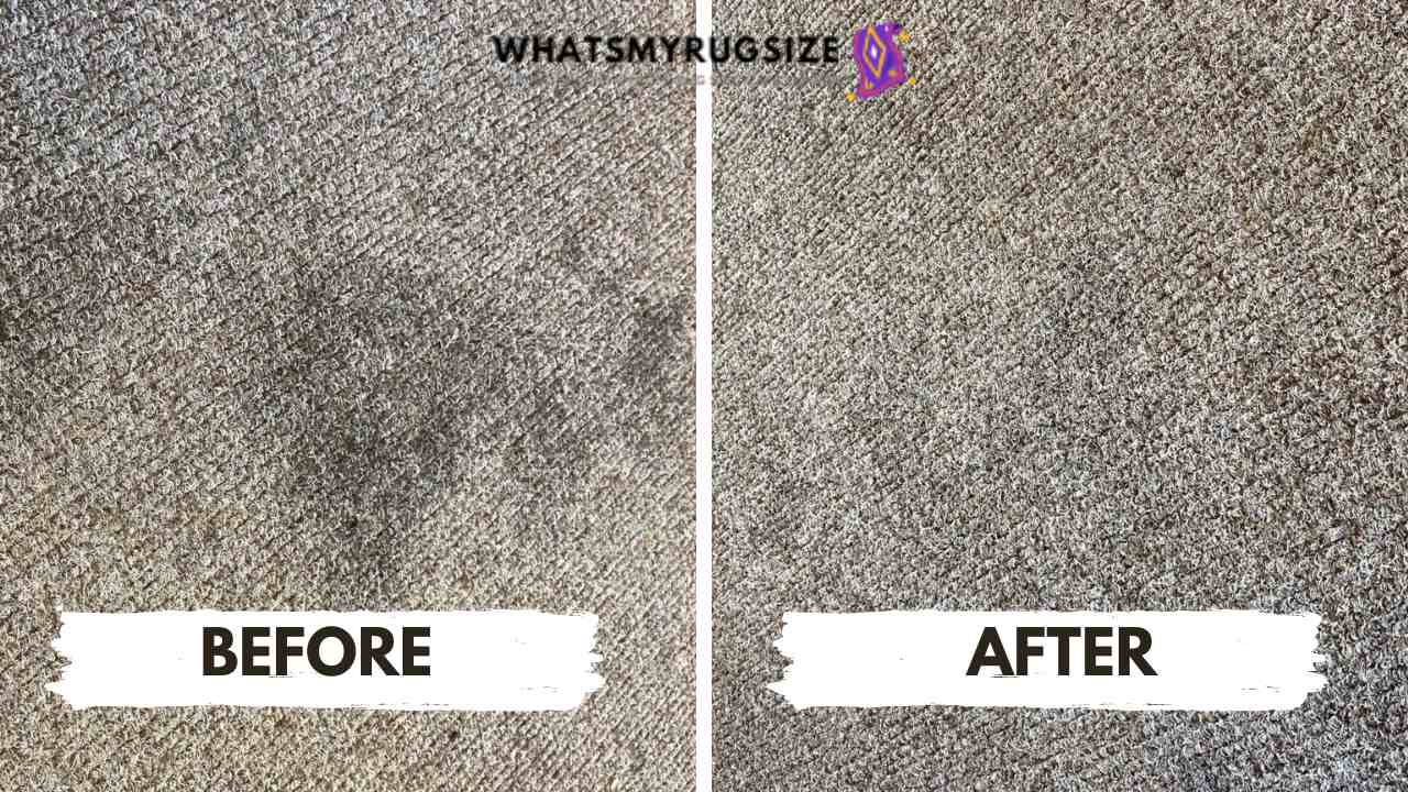 Can You Dry Clean a Rug