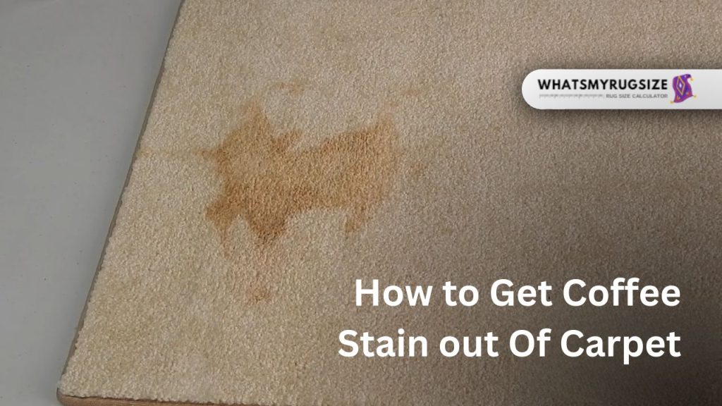 How to Get Coffee Stain out Of Carpet