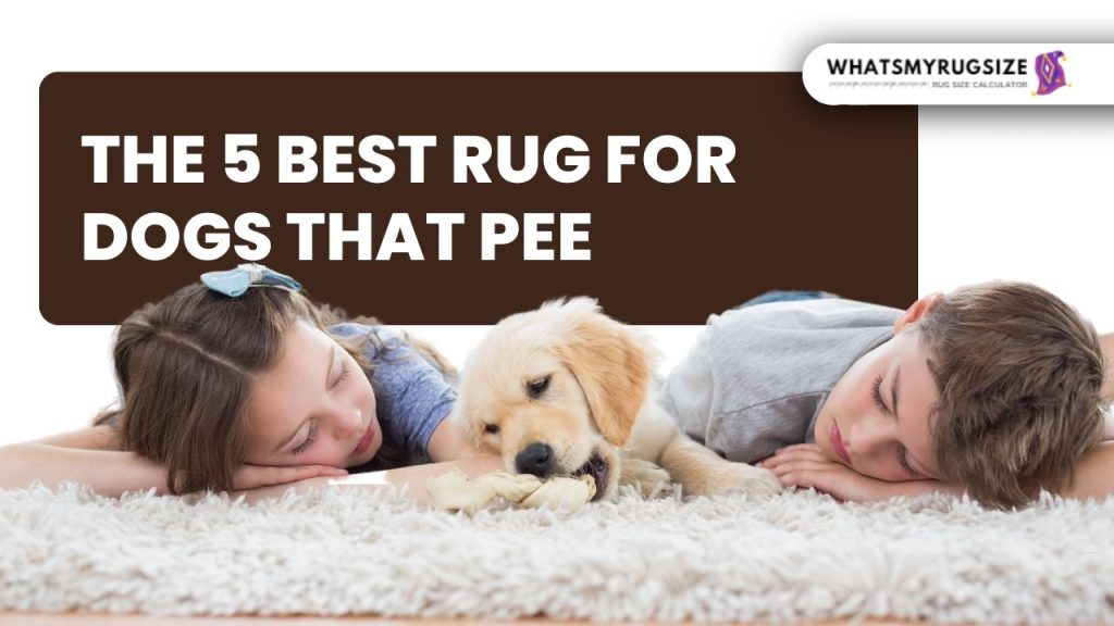 Best Rug for Dogs