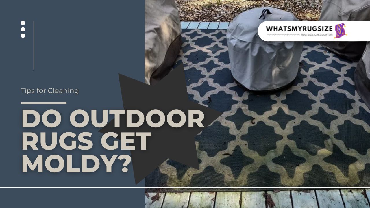 Do Outdoor Rugs Get Moldy? – (Tips for Cleaning)