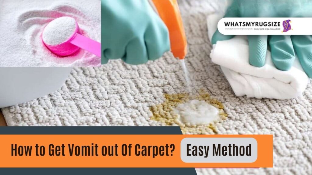 How to Get Vomit out Of Carpet