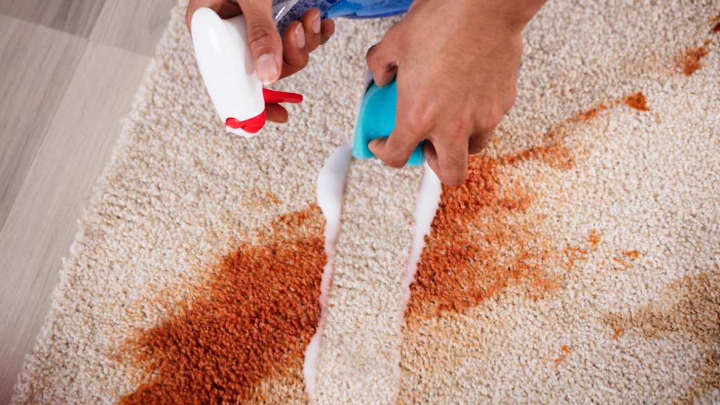 How to clean a rug at home