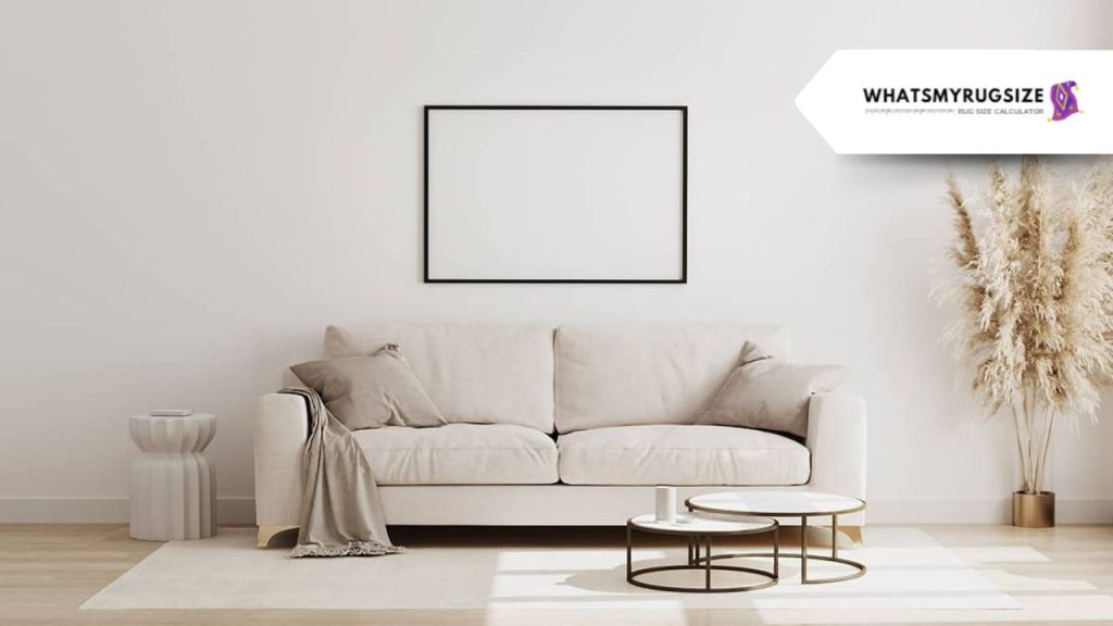 Best Rugs for White Couches