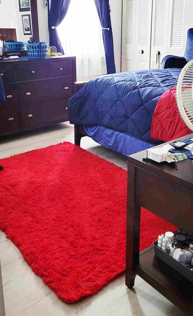 plush area rug