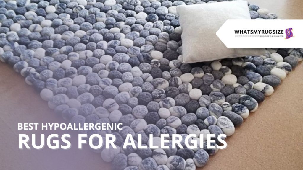 Hypoallergenic Rugs for Allergies