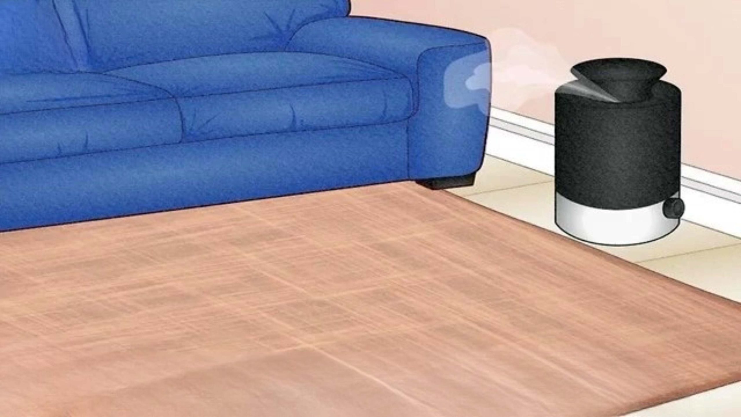 Clean Sisal Rug