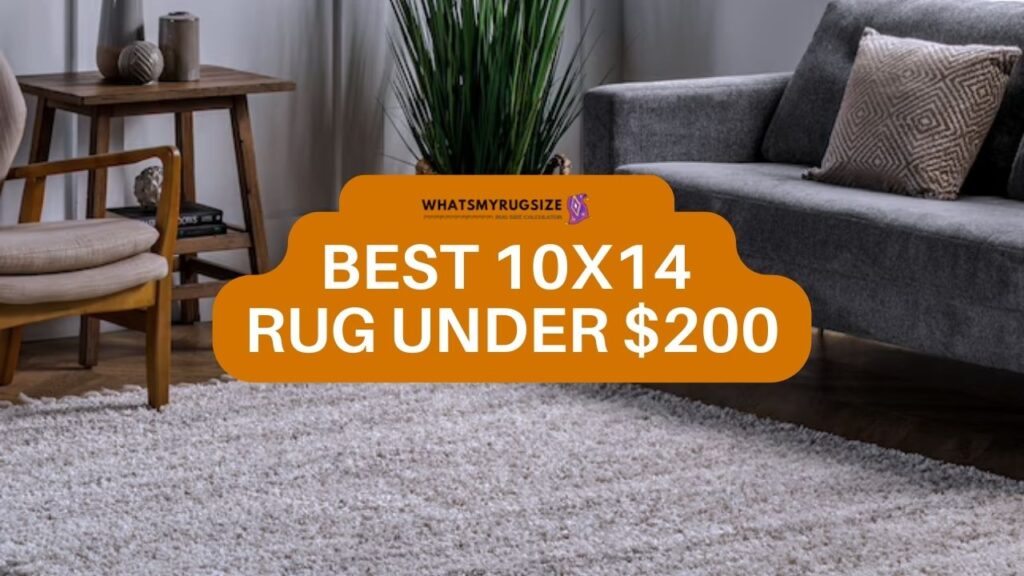 10x14 Rug Under $200