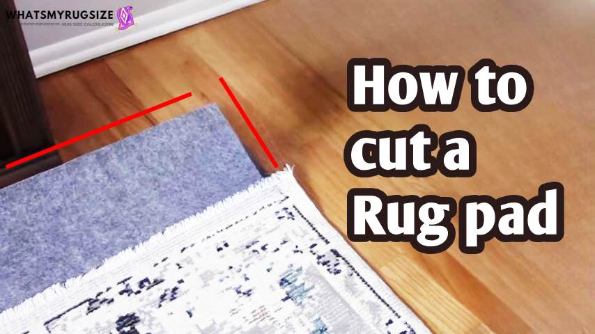 Rug Placement Living Room With TV
