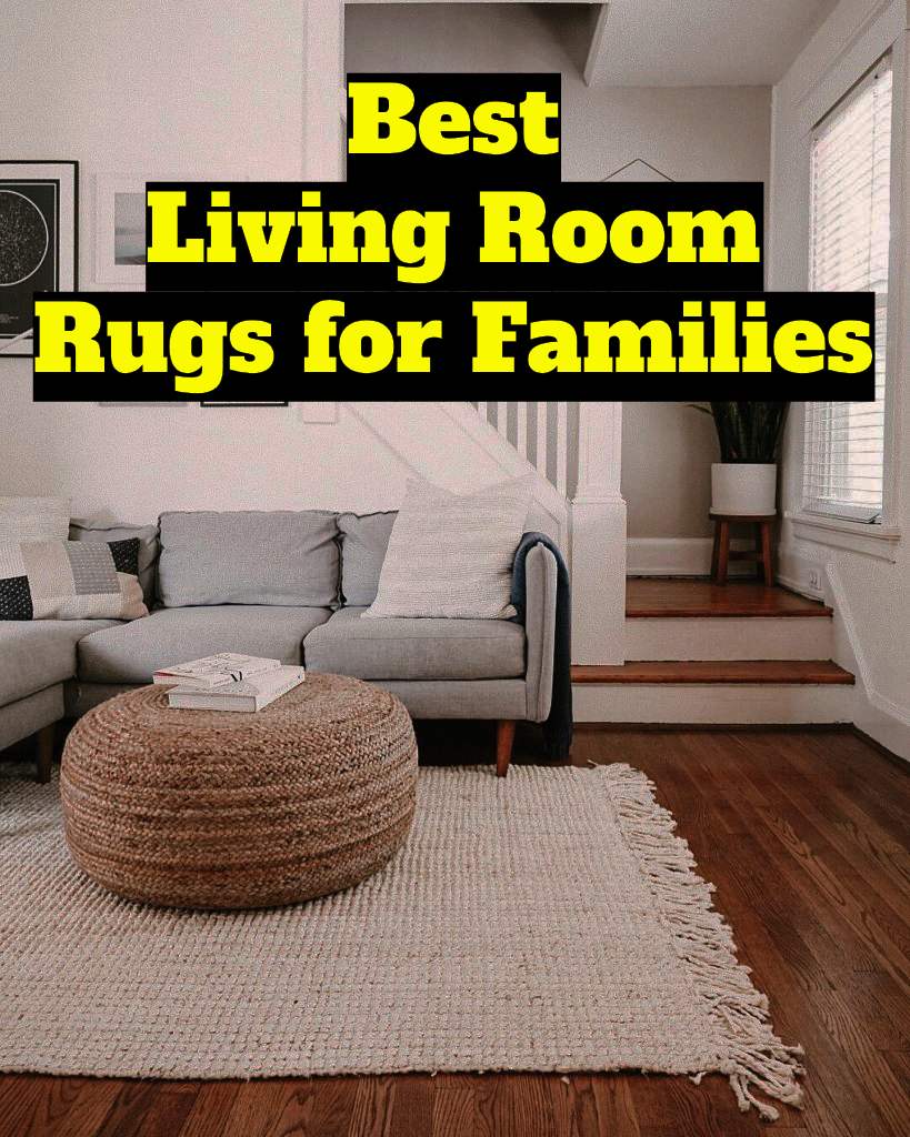 4 Best Living Room Rugs for Families in 2024 - (Review) Best Living Room Rugs for Families