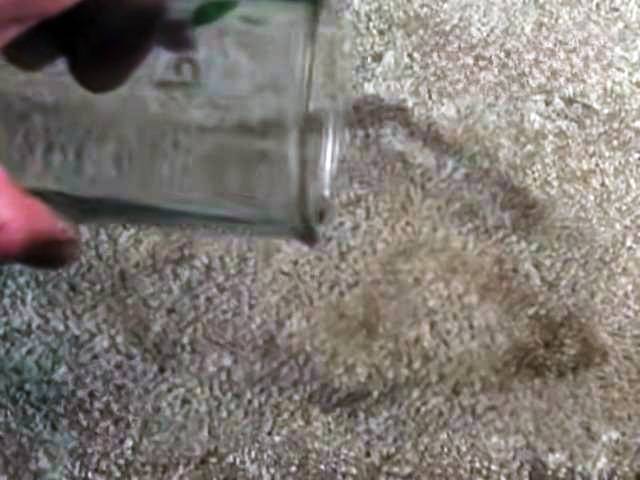 How to Get Ink Out of Carpet? - (Simple Guide) how to get ink out of carpet