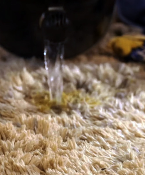 Remove Dog Poop Stain From Carpet 3