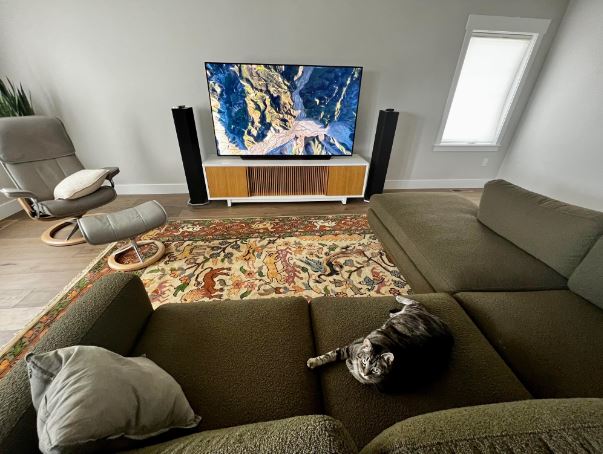 7 Rug Placement Living Room With TV Ideas 📺 Central Focus with Rectangular Rug