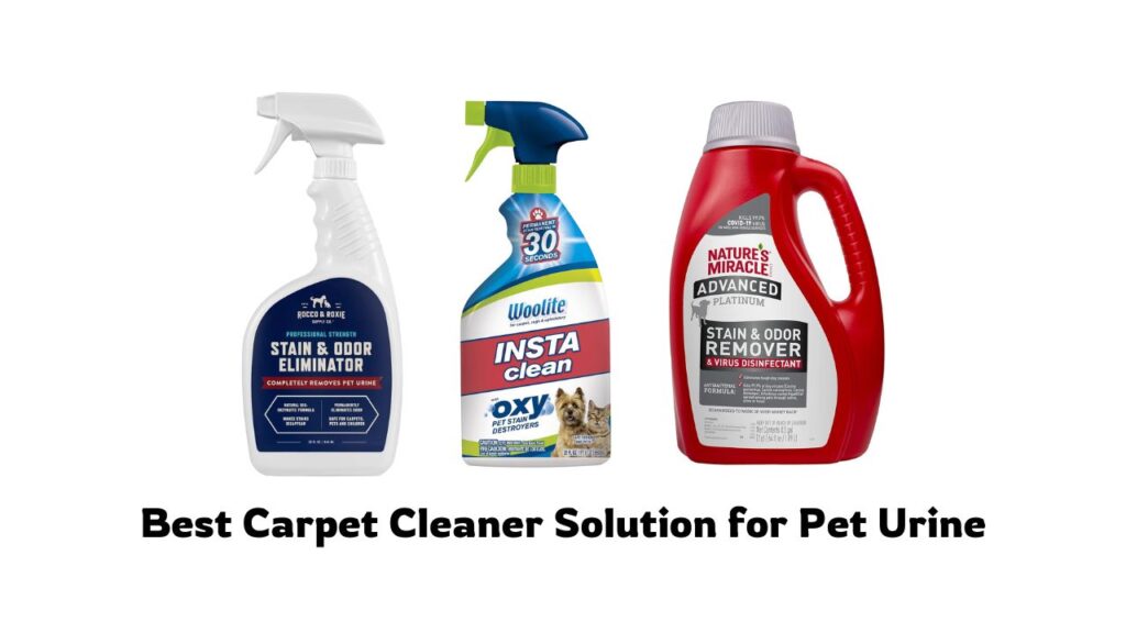 Best Carpet Cleaner Solution for Pet Urine