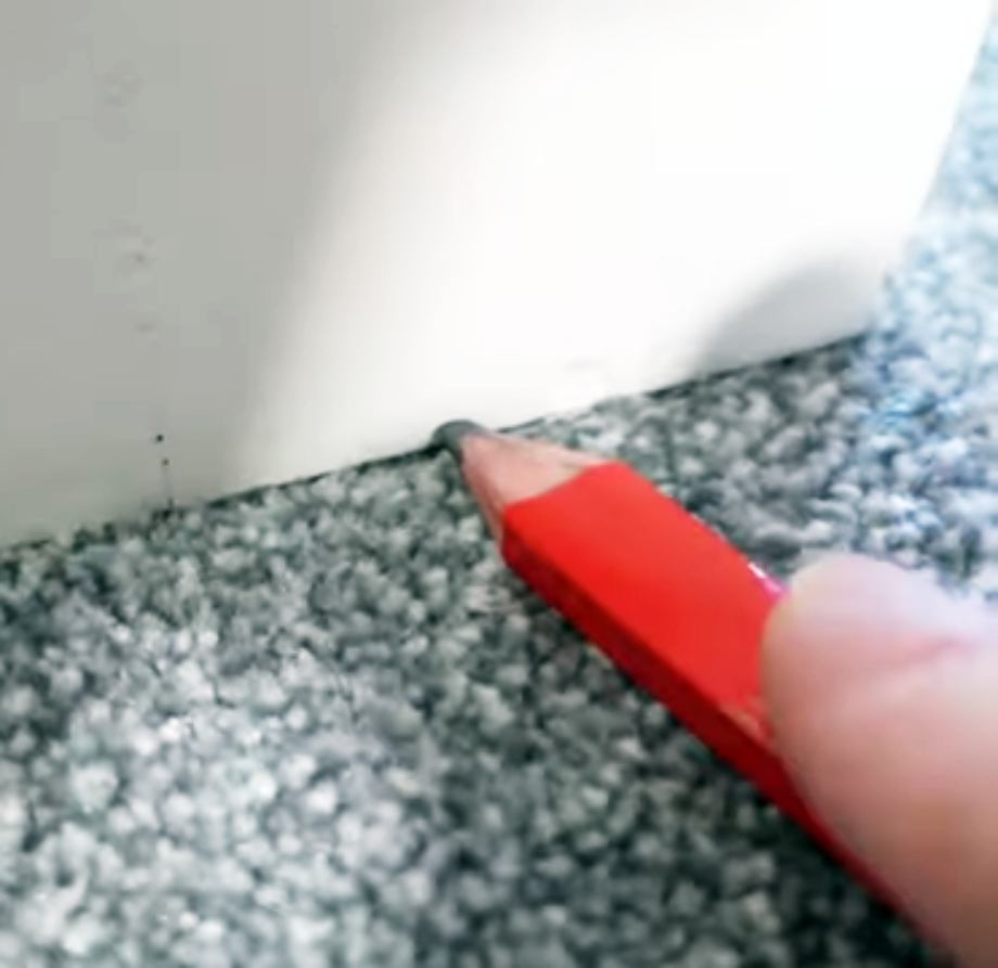 Door Dragging on Carpet