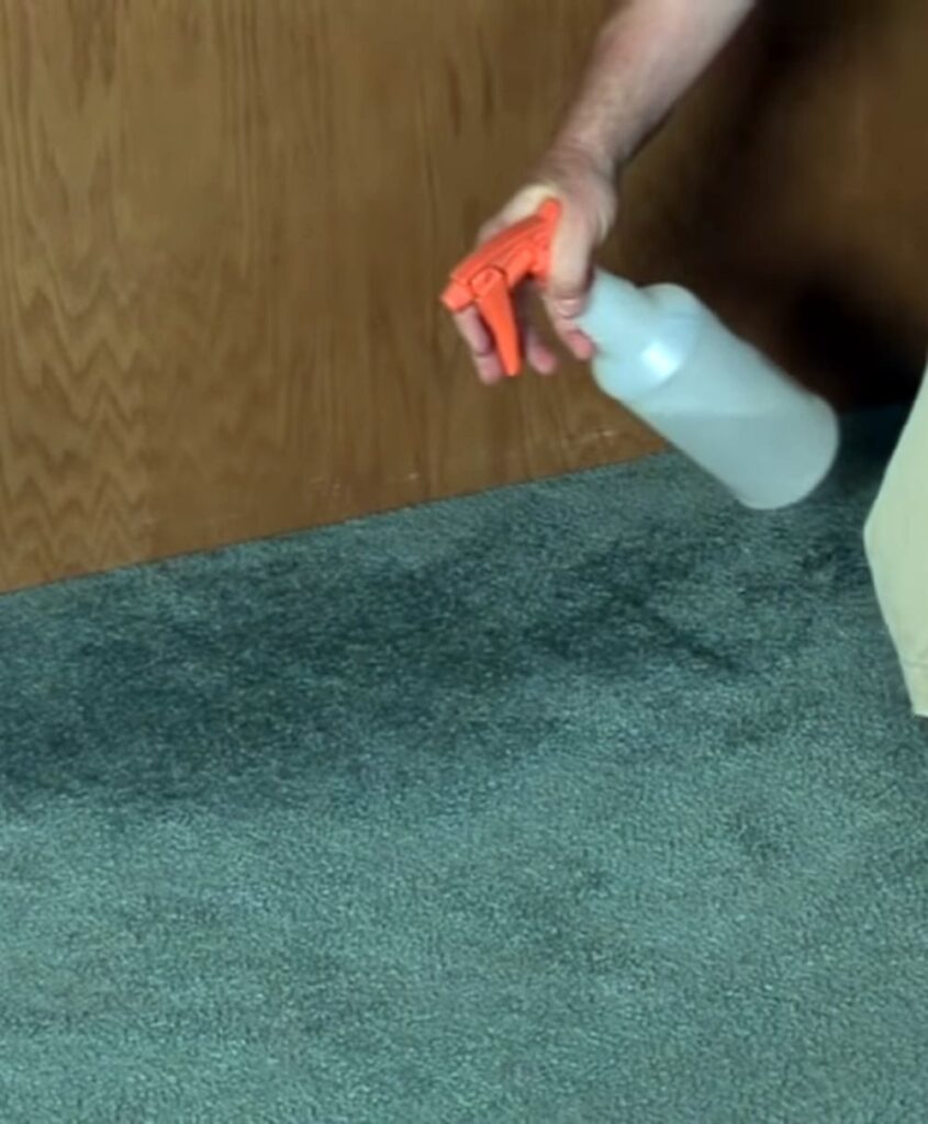 Get Musty Smell Out of Rug